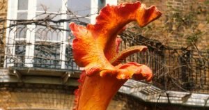 The Day of The Triffids Blu-ray Review